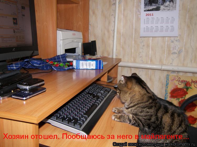 Хозяин отошел. Пообщаюсь за него в майлагенте...... Котоматрица: Хозяин отошел. Пообщаюсь за него в майлагенте...