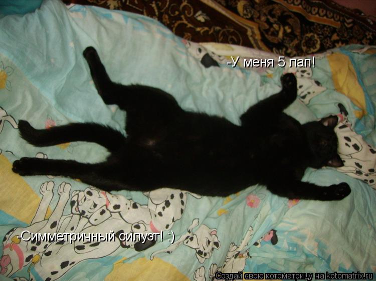 -У меня 5 лап! -Симметричный силуэт! :)... Котоматрица: -У меня 5 лап! -Симметричный силуэт! :)