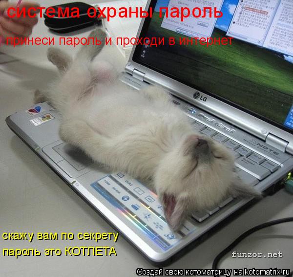 система охраны пароль скажу вам по секрету пароль это КОТЛЕТА принеси пароль и проходи в интернет... Котоматрица: система охраны пароль скажу вам по секрету пароль это КОТЛЕТА принеси пароль и проходи в интернет