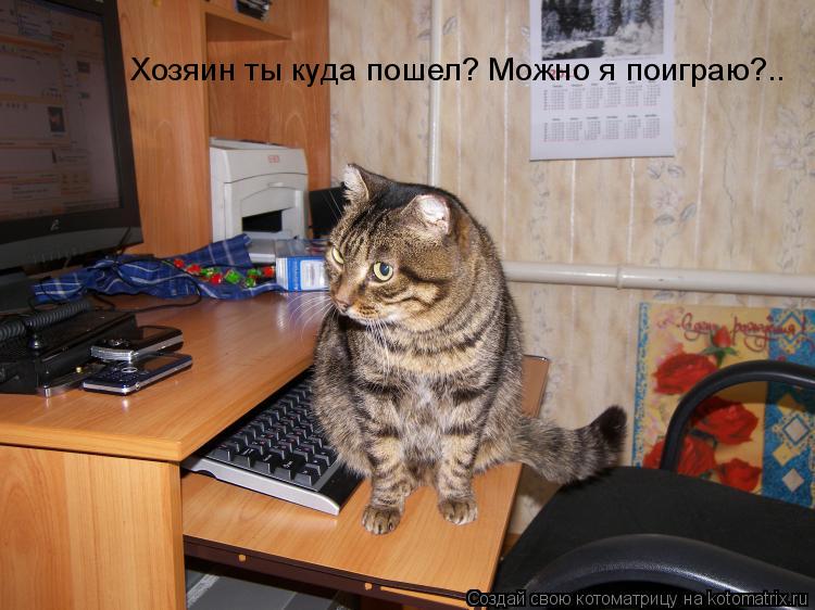 Котоматрица: Хозяин ты куда пошел? Можно я поиграю?..