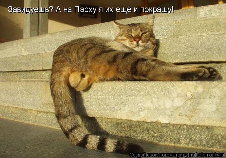 Котоматрица: Завидуешь? А на Пасху я их ещё и покрашу!