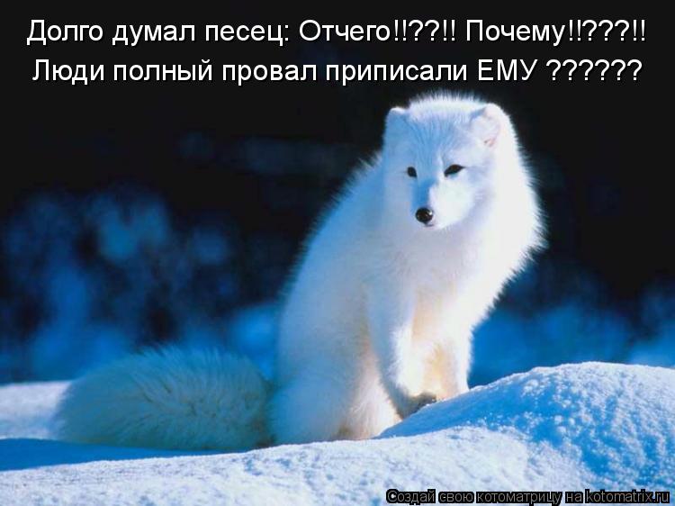 Долго думал песец: Отчего!!??!! Почему!!???!! Люди полный провал приписали ЕМУ ??????... Котоматрица: Долго думал песец: Отчего!!??!! Почему!!???!! Люди полный провал приписали ЕМУ ??????