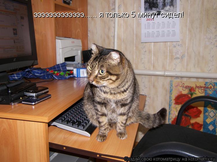 Котоматрица: эээээээээээээ...... я только 5 минут сидел!