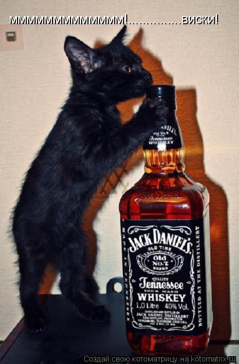 Котоматрица: ммммммммммммм!...............виски!