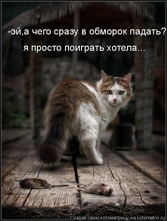 Котоматрица: -эй,а чего сразу в обморок падать? я просто поиграть хотела...
