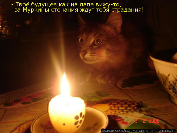 Котоматрица: - Твоё будущее как на лапе вижу-то,  за Муркины стенания ждут тебя страдания!