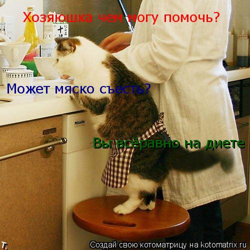 Котоматрица: Хозяюшка чем могу помочь? Может мяско съесть? Вы всёравно на диете