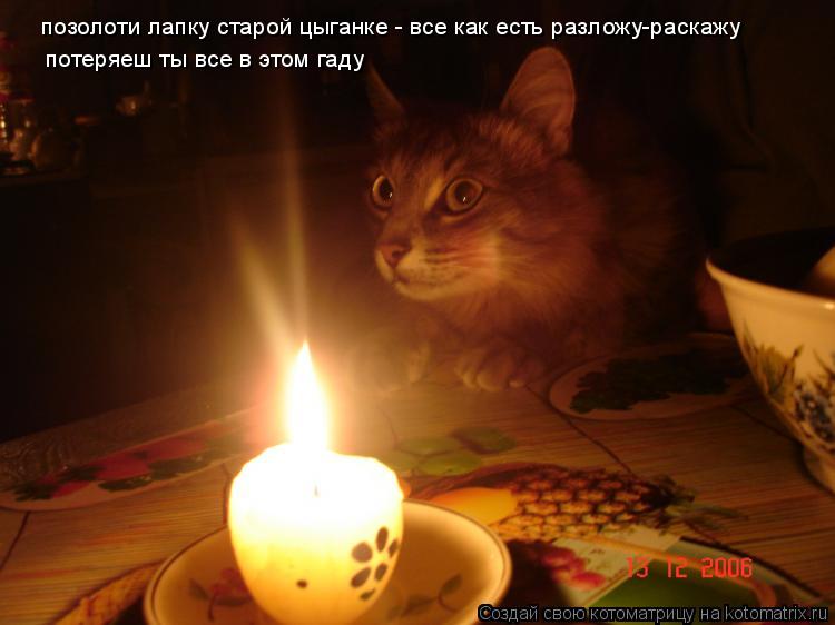 Котоматрица: позолоти лапку старой цыганке - все как есть разложу-раскажу потеряеш ты все в этом гаду