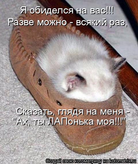 Котоматрица: Я обиделся на вас!!! Разве можно - всякий раз, "Ах, ты ЛАПонька моя!!!" Сказать, глядя на меня -
