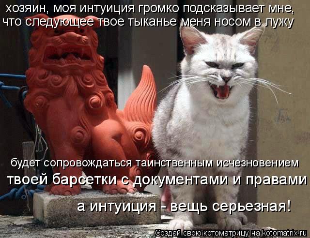 Котоматрица: хозяин, моя интуиция громко подсказывает мне,  что следующее твое тыканье меня носом в лужу будет сопровождаться таинственным исчезновени