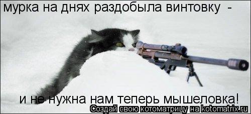 Котоматрица: мурка на днях раздобыла винтовку  -  и не нужна нам теперь мышеловка!