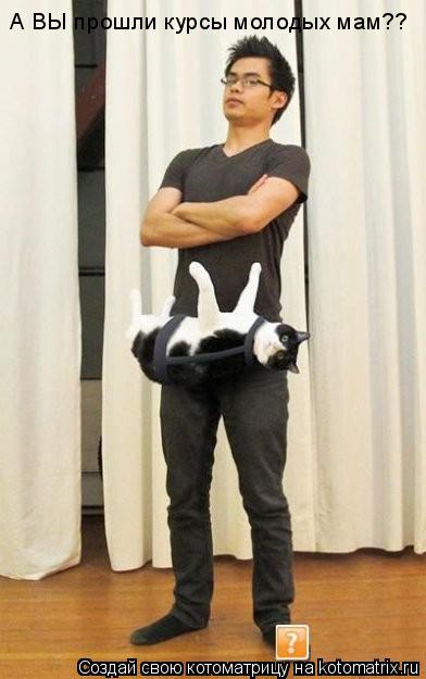 Котоматрица: А ВЫ прошли курсы молодых мам??