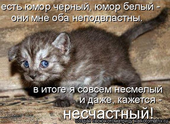 есть юмор черный, юмор белый - они мне оба неподвластны. в итоге я совсем несмелый и даже, кажется ... Котоматрица: есть юмор черный, юмор белый - они мне оба неподвластны. в итоге я совсем несмелый и даже, кажется - несчастный!