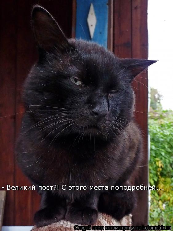 - Великий пост?! С этого места поподробней...... Котоматрица: - Великий пост?! С этого места поподробней...