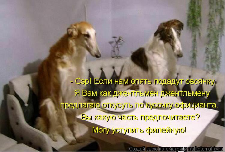 - Сэр! Если нам опять подадут овсянку, Я Вам как джентльмен джентльмену предлагаю откусуть по кусочку... Котоматрица: - Сэр! Если нам опять подадут овсянку, Я Вам как джентльмен джентльмену предлагаю откусуть по кусочку официанта. Вы какую часть предпочитае