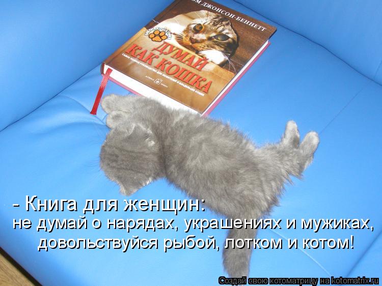 - Книга для женщин: не думай о нарядах, украшениях и мужиках, довольствуйся рыбой, лотком и котом!... Котоматрица: - Книга для женщин: не думай о нарядах, украшениях и мужиках, довольствуйся рыбой, лотком и котом!