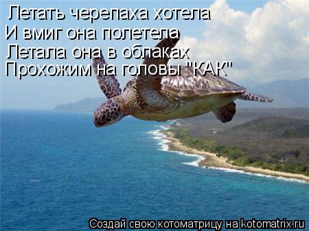 Летать черепаха хотела И вмиг она полетела Летала она в облаках Прохожим на головы "КАК"... Котоматрица: Летать черепаха хотела И вмиг она полетела Летала она в облаках Прохожим на головы "КАК"