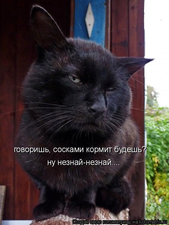 говоришь, сосками кормит будешь? ну незнай-незнай....... Котоматрица: говоришь, сосками кормит будешь? ну незнай-незнай....