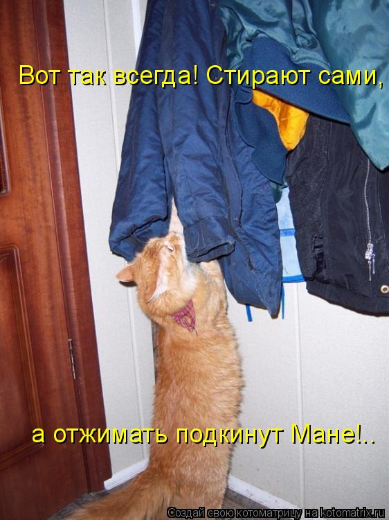 Вот так всегда! Стирают сами, а отжимать подкинут Мане!..... Котоматрица: Вот так всегда! Стирают сами, а отжимать подкинут Мане!..