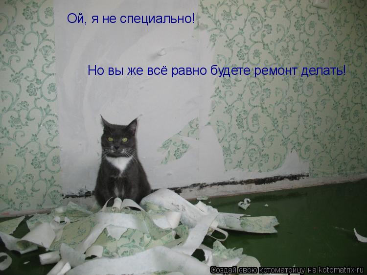 Ой, я не специально! Но вы же всё равно будете ремонт делать!... Котоматрица: Ой, я не специально! Но вы же всё равно будете ремонт делать!
