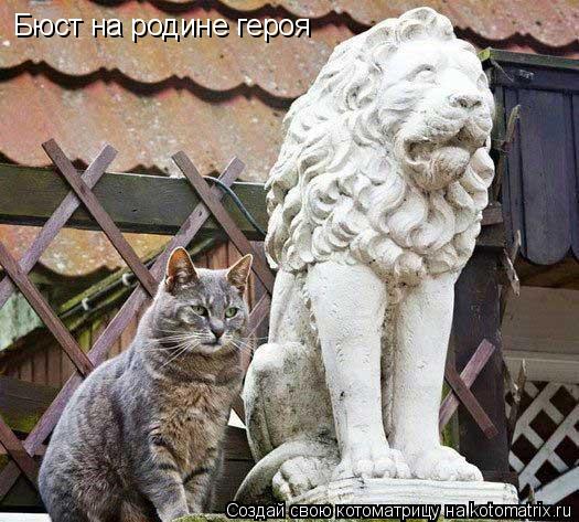Бюст на родине героя... Котоматрица: Бюст на родине героя