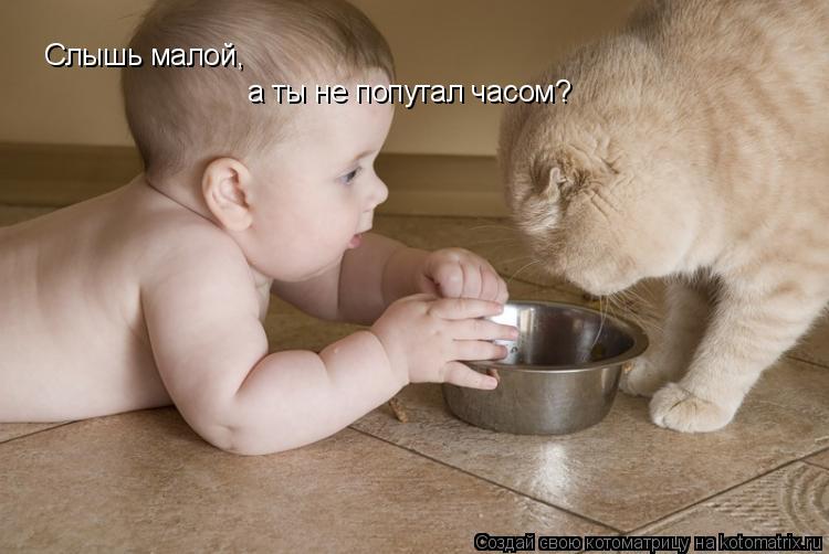 Слышь малой, а ты не попутал часом?... Котоматрица: Слышь малой, а ты не попутал часом?