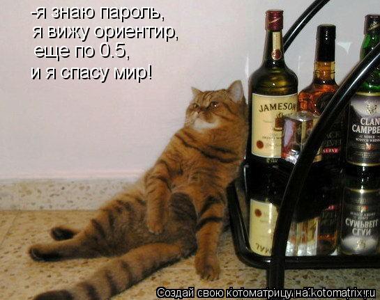 -я знаю пароль, я вижу ориентир, еще по 0.5, и я спасу мир!... Котоматрица: -я знаю пароль, я вижу ориентир, еще по 0.5, и я спасу мир!