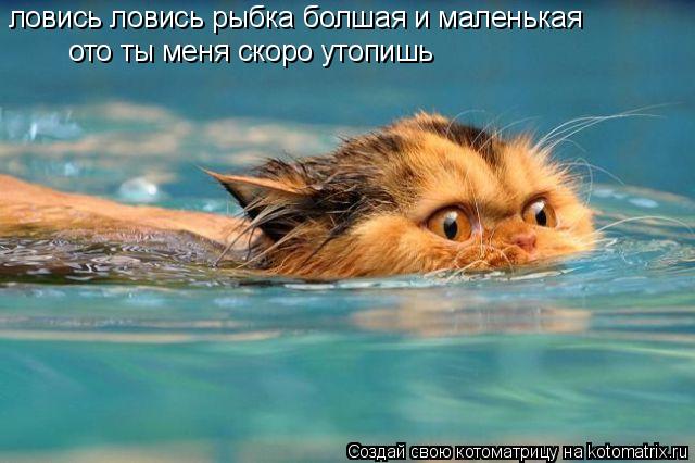 ловись ловись рыбка болшая и маленькая ото ты меня скоро утопишь... Котоматрица: ловись ловись рыбка болшая и маленькая ото ты меня скоро утопишь