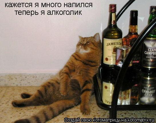 кажется я много напился теперь я алкоголик... Котоматрица: кажется я много напился теперь я алкоголик