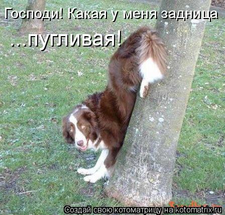 Господи! Какая у меня задница ...пугливая!... Котоматрица: Господи! Какая у меня задница ...пугливая!