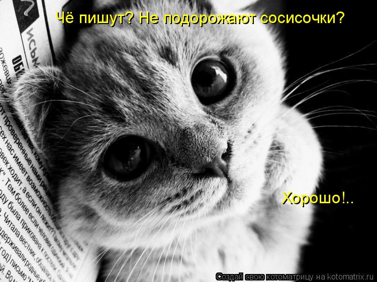 Чё пишут? Не подорожают сосисочки? Хорошо!..... Котоматрица: Чё пишут? Не подорожают сосисочки? Хорошо!..