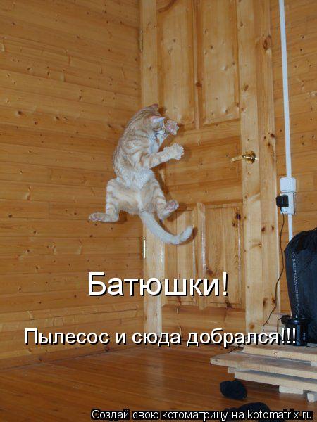 Пылесос и сюда добрался!!! Батюшки!... Котоматрица: Пылесос и сюда добрался!!! Батюшки!