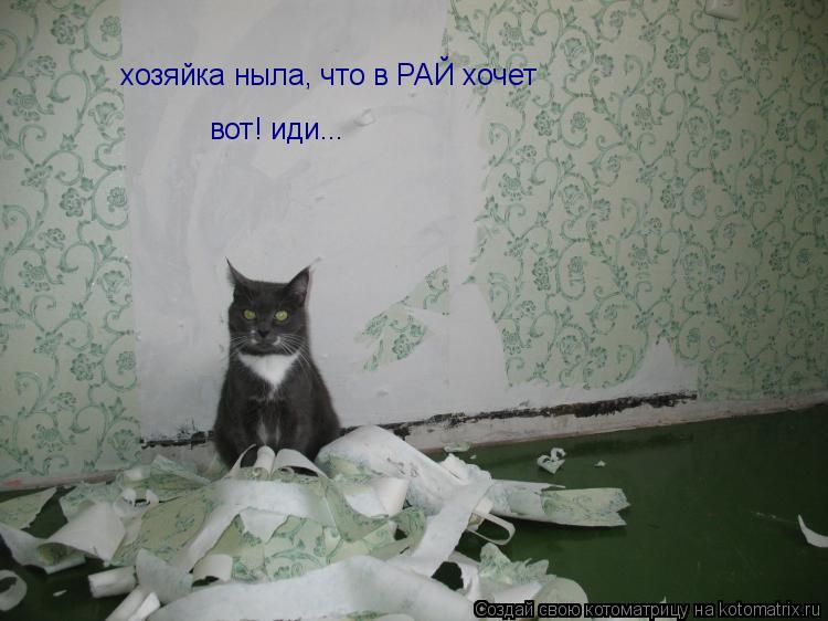 хозяйка ныла, что в РАЙ хочет вот! иди...... Котоматрица: хозяйка ныла, что в РАЙ хочет вот! иди...