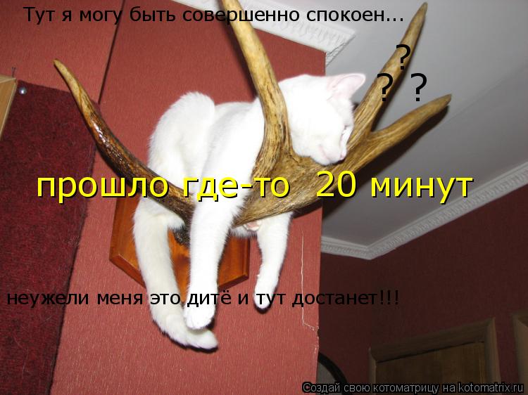 прошло где-то 20 минут неужели меня это дитё и тут достанет!!! ? ? Тут я могу быть совершенно спокое... Котоматрица: прошло где-то 20 минут неужели меня это дитё и тут достанет!!! ? ? Тут я могу быть совершенно спокоен... ?