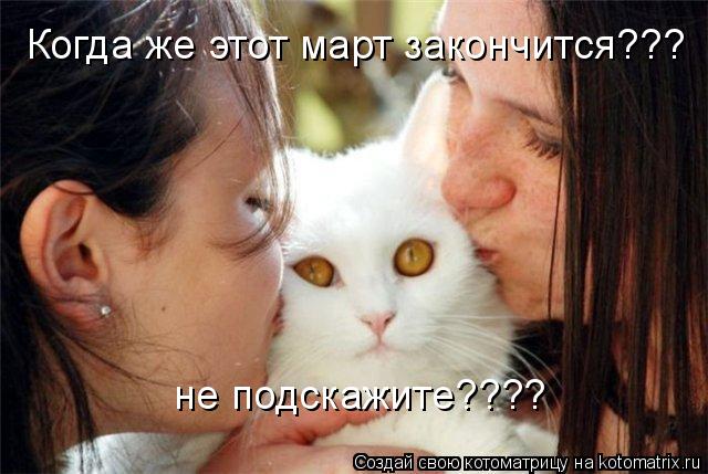 Когда же этот март закончится??? не подскажите????... Котоматрица: Когда же этот март закончится??? не подскажите????