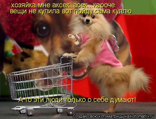 хозяйка мне аксек..асек...кароче вещи не купила вот пойду сама куплю А то эти люди только о себе дум... Котоматрица: хозяйка мне аксек..асек...кароче вещи не купила вот пойду сама куплю А то эти люди только о себе думают!