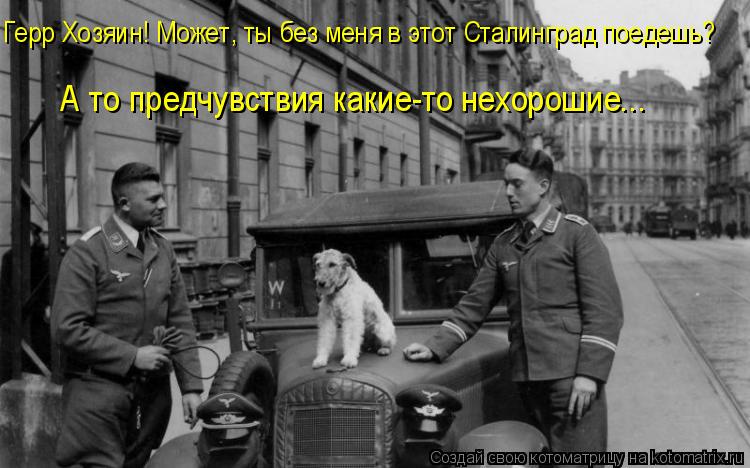 Герр Хозяин! Может, ты без меня в этот Сталинград поедешь? А то предчувствия какие-то нехорошие...... Котоматрица: Герр Хозяин! Может, ты без меня в этот Сталинград поедешь? А то предчувствия какие-то нехорошие...