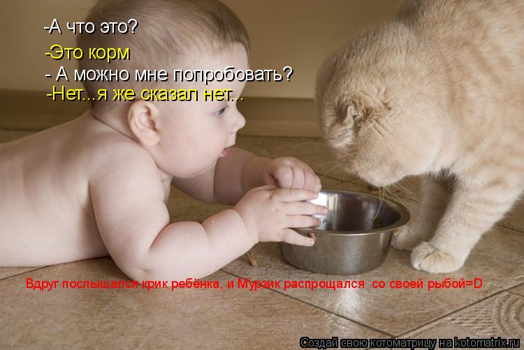 -А что это? -Это корм - А можно мне попробовать? -Нет...я же сказал нет... Вдруг послышался крик ребё... Котоматрица: -А что это? -Это корм - А можно мне попробовать? -Нет...я же сказал нет... Вдруг послышался крик ребёнка, и Мурзик распрощался со своей рыбой=D