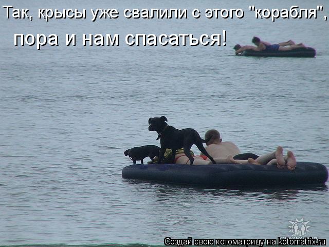 Так, крысы уже свалили с этого "корабля", пора и нам спасаться!... Котоматрица: Так, крысы уже свалили с этого "корабля", пора и нам спасаться!