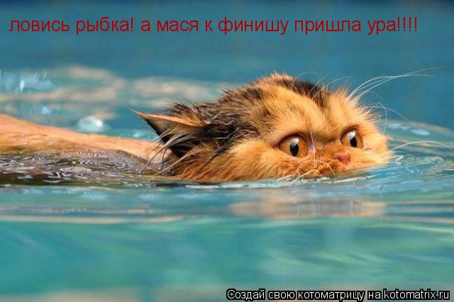 Котоматрица: ловись рыбка! а мася к финишу пришла ура!!!!