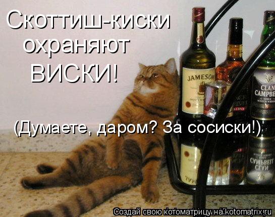 Котоматрица: Скоттиш-киски охраняют ВИСКИ! (Думаете, даром? За сосиски!)