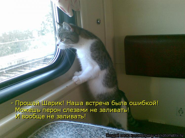 Котоматрица: - Прощай Шарик! Наша встреча была ошибкой! Можешь перон слезами не заливать! И вообще не заливать!