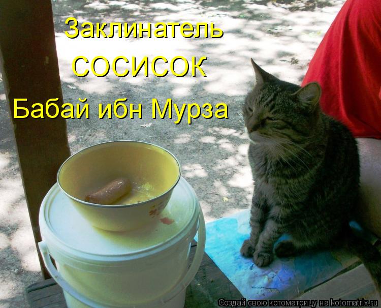 Котоматрица: Заклинатель  СОСИСОК Бабай ибн Мурза