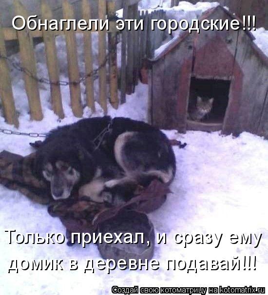 Котоматрица: Обнаглели эти городские!!! Только приехал, и сразу ему домик в деревне подавай!!!