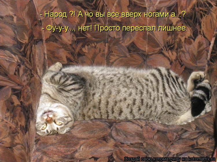 Котоматрица: - Народ ?! А чо вы все вверх ногами а...?  - Фу-у-у..., нет! Просто переспал лишнее.
