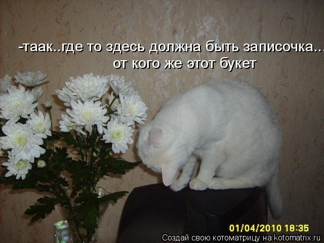 Котоматрица: -таак..где то здесь должна быть записочка... от кого же этот букет