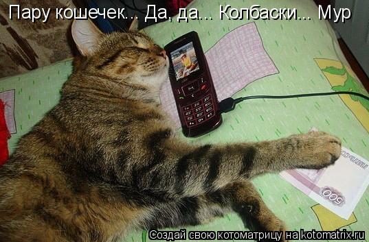 Котоматрица: Пару кошечек... Да, да... Колбаски... Мур