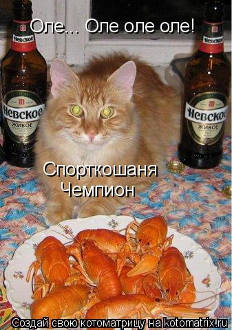 Котоматрица: Оле... Оле оле оле! Спорткошаня Чемпион