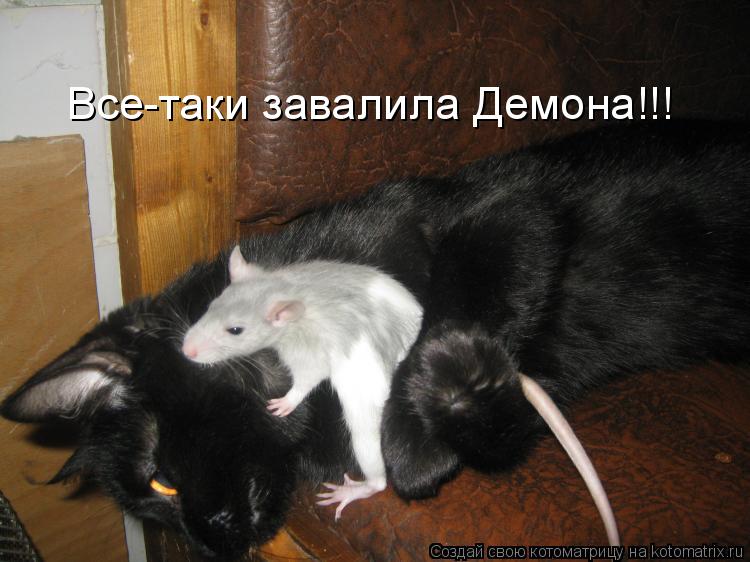 Котоматрица: Все-таки завалила Демона!!!