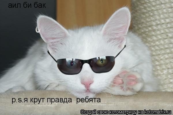 Котоматрица: аил би бак p.s.я крут правда  ребята